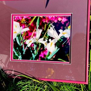 Original photography framed White Irises